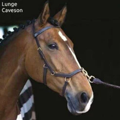 Horseware Rambo Micklem Multibridle 16 Horseware Rambo Micklem Multibridle -Cavallo Shop bridle16
