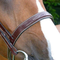 Dy'on Fancy Stitch Wide Noseband Bridle -Cavallo Shop bridle2 1e4663ab 884f 4b7d 80a6 469c5399f8c7