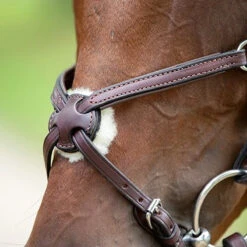 Nunn Finer Figure Eight Bridle 10 Nunn Finer Figure Eight Bridle -Cavallo Shop bridle3 46165870 fad2 409e ae3d ca7da5e4cdc6