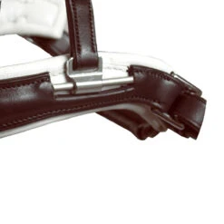 Acavallo Filosofia Bridle -Cavallo Shop bridle3 35524.1587741816.1280.1280