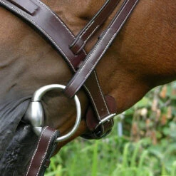 Dy'on Fancy Stitch Wide Noseband Bridle -Cavallo Shop bridle4 5bfb0366 19a2 4a05 ab7e fe08591f5851