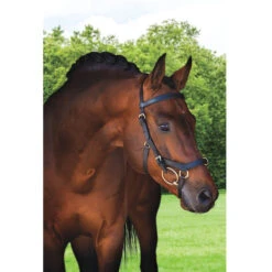 Horseware Rambo Micklem Multibridle 20 Horseware Rambo Micklem Multibridle -Cavallo Shop bridle4 b0e395ec 9a74 445f be98 f048ad5a2cb8