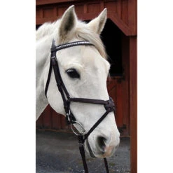 Nunn Finer Figure Eight Bridle 12 Nunn Finer Figure Eight Bridle -Cavallo Shop bridle5 9a50a3e3 345a 4af3 8fc7 ec18cd907750