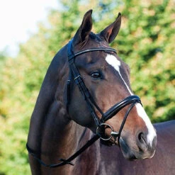 Passier Fortuna Snaffle Bridle 17 Passier Fortuna Snaffle Bridle -Cavallo Shop bridle7 92799.1589504218.1280.1280