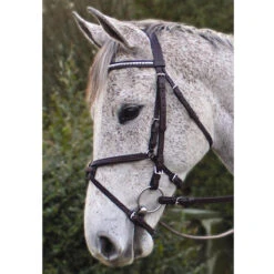 Nunn Finer Padded Figure 8 Noseband With Interchangeable Button Pieces 11 Nunn Finer Padded Figure 8 Noseband With Interchangeable Button Pieces -Cavallo Shop bridle7 93402.1588702952.1280.1280