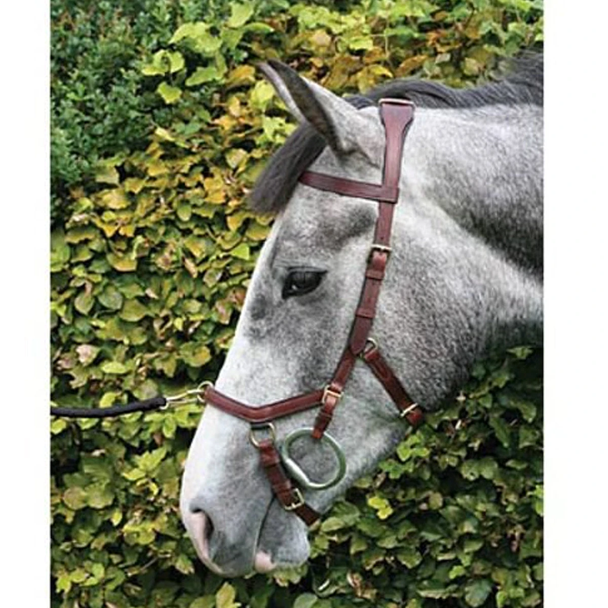 Horseware Rambo Micklem Multibridle 11 Horseware Rambo Micklem Multibridle - Image 9