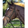 Passier Fortuna Snaffle Bridle 2 Passier Fortuna Snaffle Bridle -Cavallo Shop bridle8 40386.1589504217.1280.1280