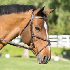 Nunn Finer Padded Figure 8 Noseband With Interchangeable Button Pieces 12 Nunn Finer Padded Figure 8 Noseband With Interchangeable Button Pieces -Cavallo Shop bridle9 40869.1588702952.1280.1280