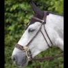 Dyon Hackamore Bridle 1 Dyon Hackamore Bridle -Cavallo Shop bridle 0f6fd6db 7a4e 4f09 a701 04281ee797bf