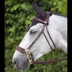Dyon Hackamore Bridle