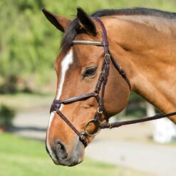 Nunn Finer Figure Eight Bridle
