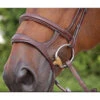 Dyon Double Noseband - D Collection -Cavallo Shop dyon doublenoseband