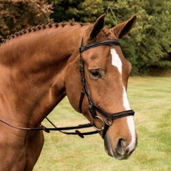 Rambo Micklem Deluxe Competition Bridle -Cavallo Shop havana 17224.1590614971.1280.1280