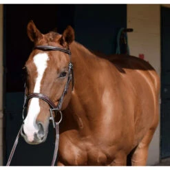 Huntley Equestrian Sedgwick Leather Fancy Stitched Bridle -Cavallo Shop huntley eq sedgwick aust nut5 95416.1588357252.1280.1280