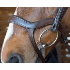 Nunn Finer Innovativo Shaped Bridle 8 Nunn Finer Innovativo Shaped Bridle -Cavallo Shop innovatio3