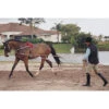 Pessoa Lunging System -Cavallo Shop lunge