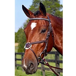 Nunn Finer Figure Eight Bridle 13 Nunn Finer Figure Eight Bridle -Cavallo Shop new 31853545 40ae 422b a823 f67607d5803d
