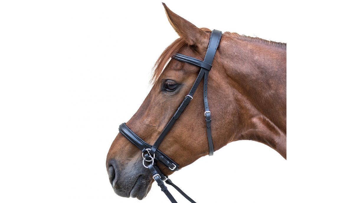 Cavallo Shop -Cavallo Shop Waldhausen Star Bitless Bridle 1220x687 1